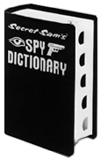 Secret Sam's Spy camera
